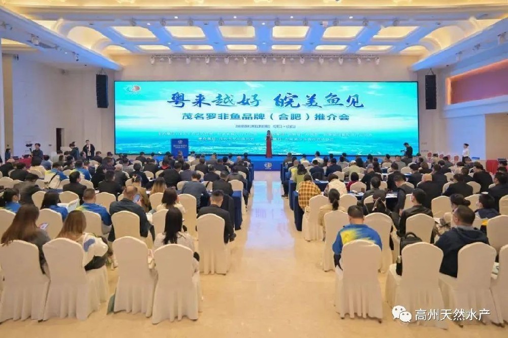 “粵來越好 皖美魚見”-----茂名“一條魚”(羅非魚)引爆安徽商圈!